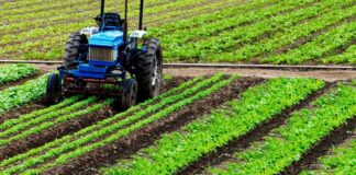 Politica Agricola Comunitaria, convegno a Corato il 23 maggio