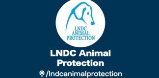 LNDC Animal Protection, dura presa di posizione contro la sagra di carne di cavallo e il circo con gli animali