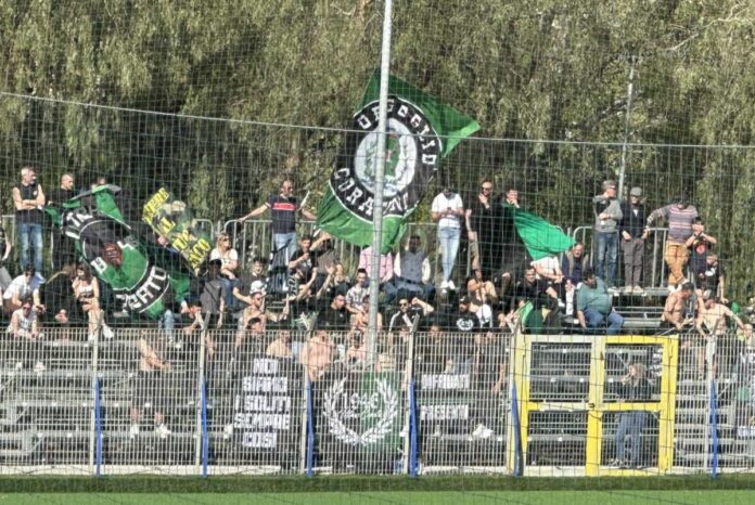 436490132_978912864240248_5932547669101639373_n