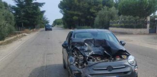 Incidente tra auto e camion tra Bisceglie e Corato, ferita una persona