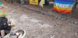I volontari di Legambiente al lavoro per ripulire Viale Arno