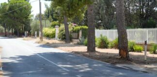 Auto finisce contro un albero per schivare un animale: morto bimbo di 5 mesi