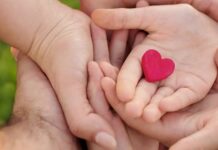 Avvio del percorso di formazione per affidatari