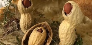 Mostra presepiale di arte e fantasia dall’8 dicembre in via Duomo