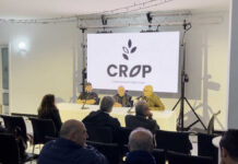 Dalla Lettonia agli operatori dalla Polonia: il Consorzio C.R.O.P. lavora sull’internazionalizzazione dell’Olio Evo