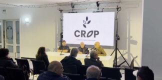 Dalla Lettonia agli operatori dalla Polonia: il Consorzio C.R.O.P. lavora sull’internazionalizzazione dell’Olio Evo