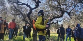 Corato investe nella formazione agricola
