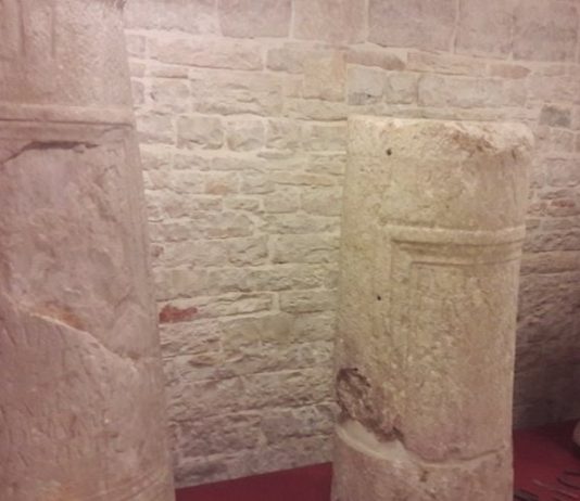 Giornata mondiale Amici dei Musei: al Museo del Territorio appuntamento il 11 ottobre