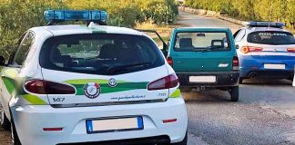 Le “Guardie per l’Ambiente” fermano un furto d’auto in via Vecchia Bisceglie