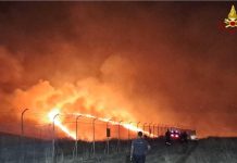Fiamme tra Gravina in Puglia, Poggiorsini e Corato: brucia il Parco dell’Alta Murgia