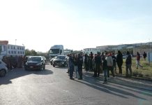 La protesta: olive sversate sulla tangenziale ad Andria, studenti ed agricoltori in strada a Corato